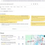 Daniels Landscape & Irrigation dominando la parte superior de la página en la sección de AI Overview de Google